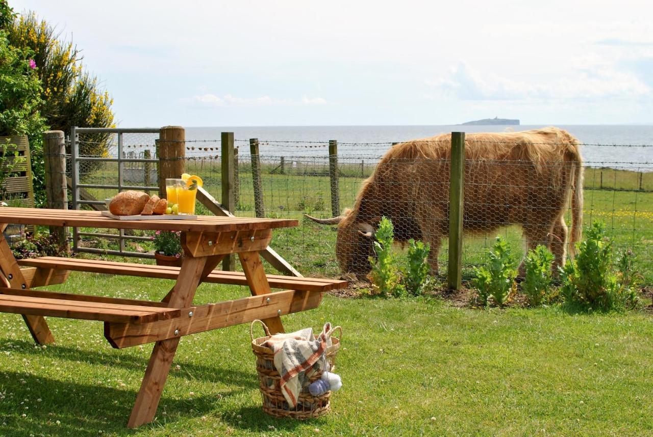 Clover Cottage Countryside Retreat With Sea Views Крейл Экстерьер фото
