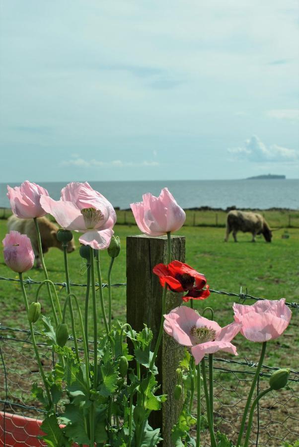 Clover Cottage Countryside Retreat With Sea Views Крейл Экстерьер фото